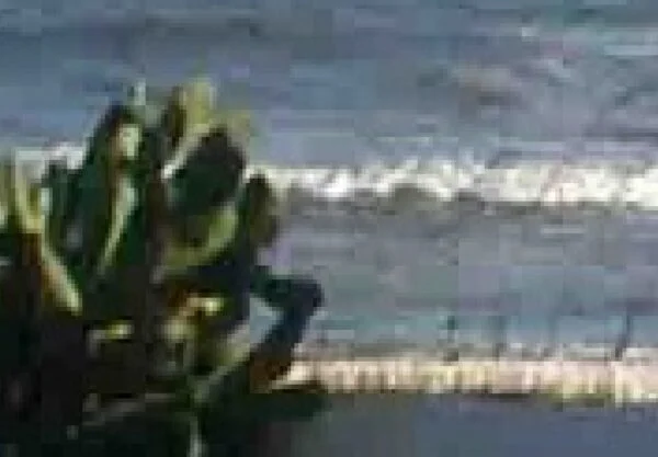 Exemplo de imagem de vídeo pixelado