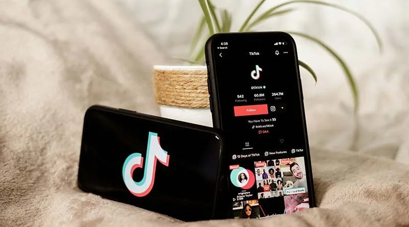 Perfis do TikTok para criadores de conteúdo